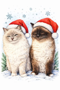 Die Prinzessin und der Kuschelkater